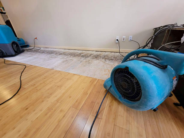 Professional Water Extraction technician working in Yale, MI
